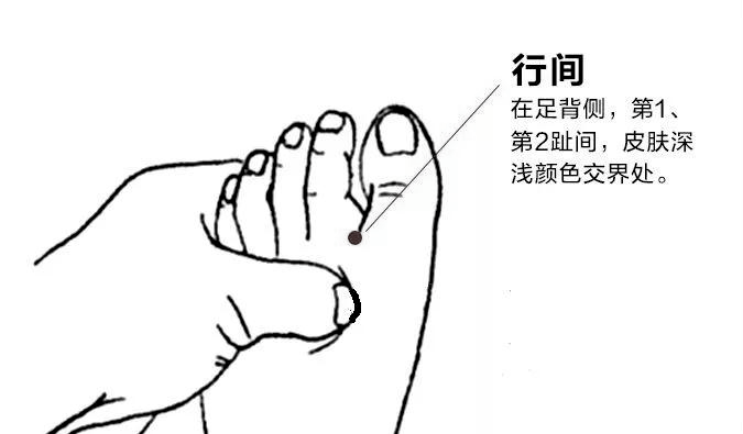 怎么能快速降脂肪肝 cd2257b973f14fddae755cdb32cad994.png