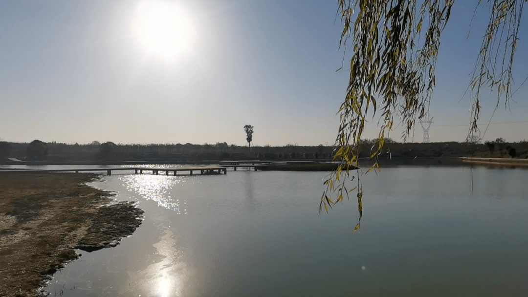 乡村振兴湾沚镇以水为脉十里长冲产业旺