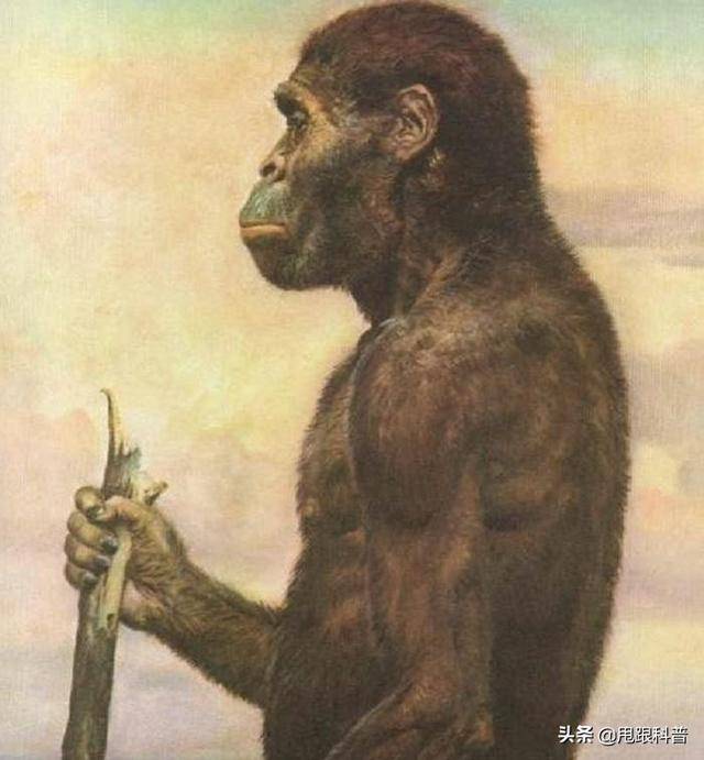100000年前的人类图片图片