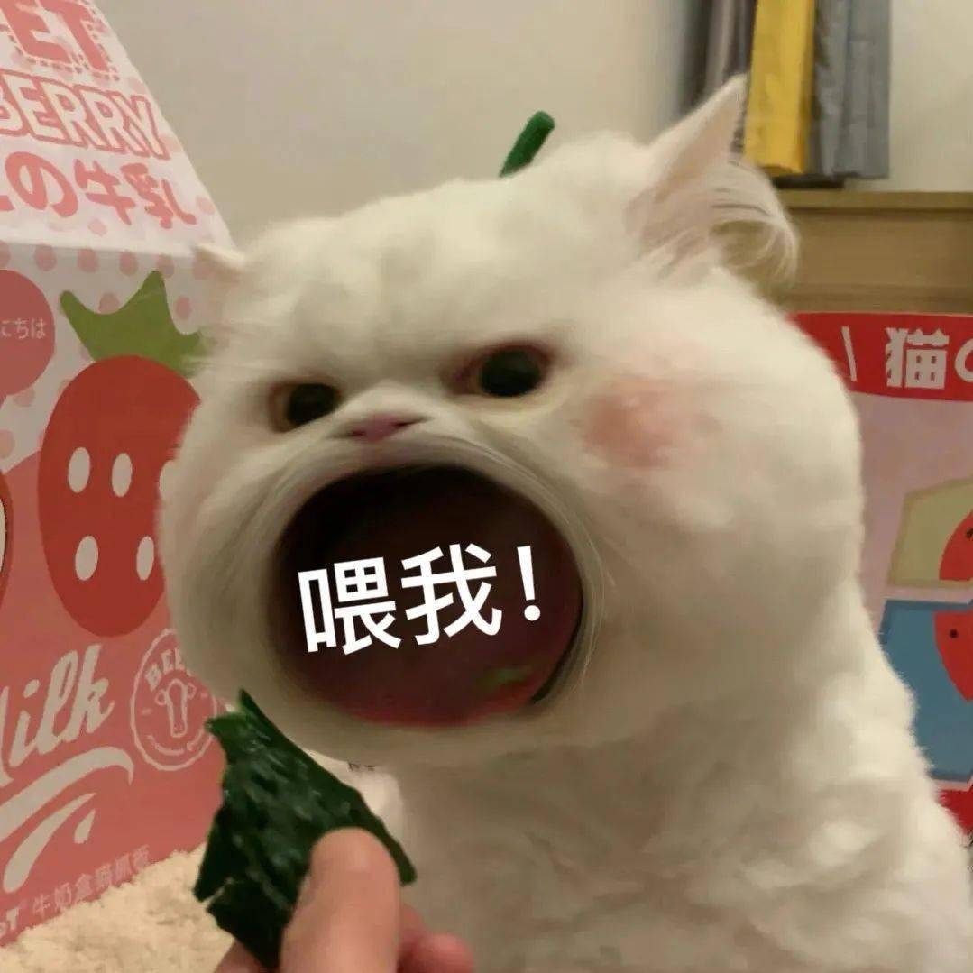 大嘴猫表情包 