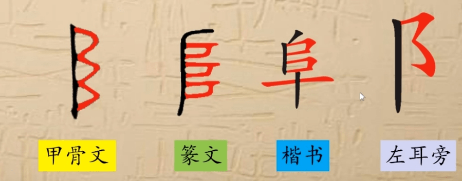 特色建设汉字状森罗讲堂正开播汉字小讲堂第一期耳刀旁