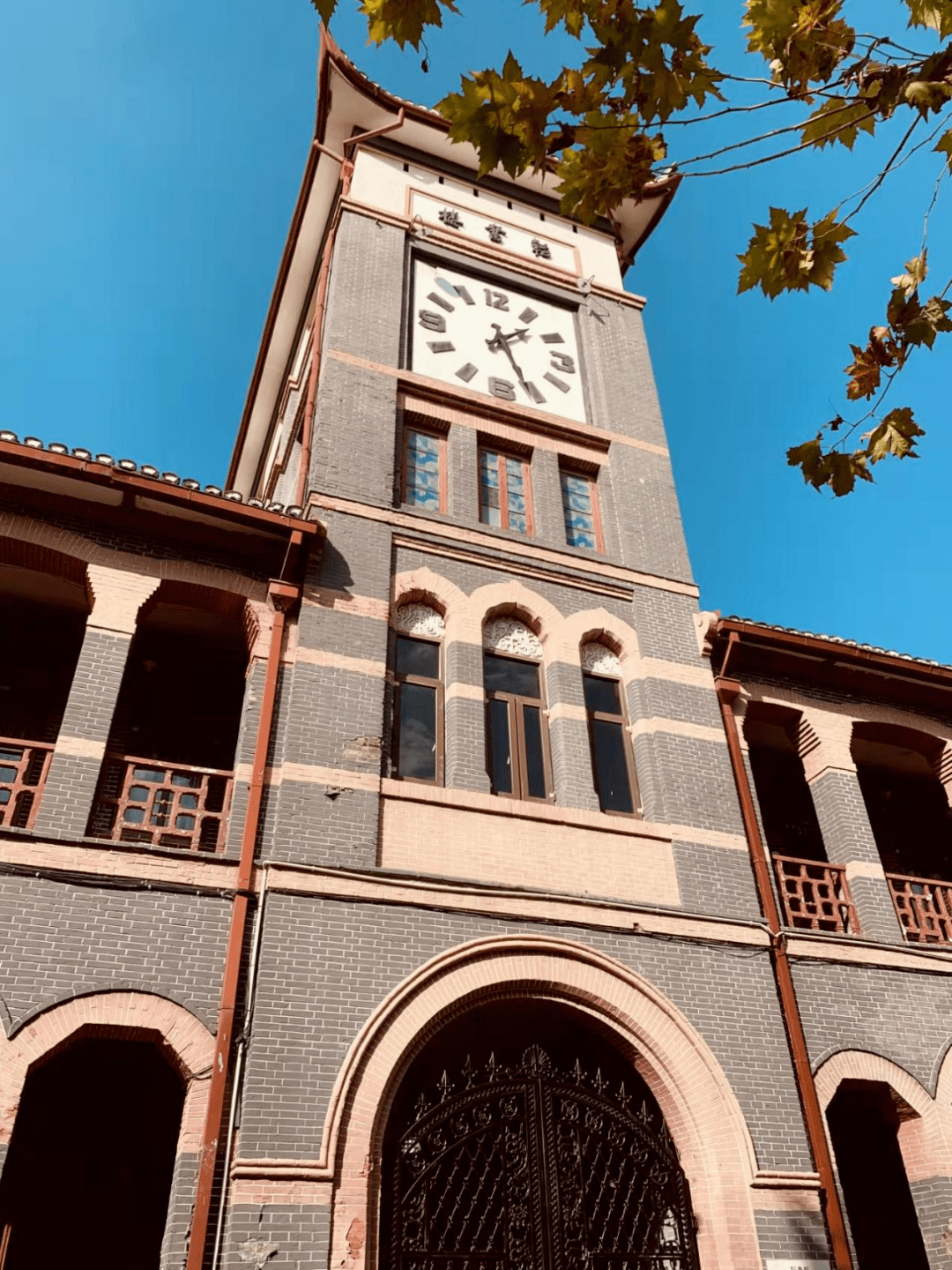 初冬的华政园,有你不能错过的风景!_校园_石庚炜_蒙恩