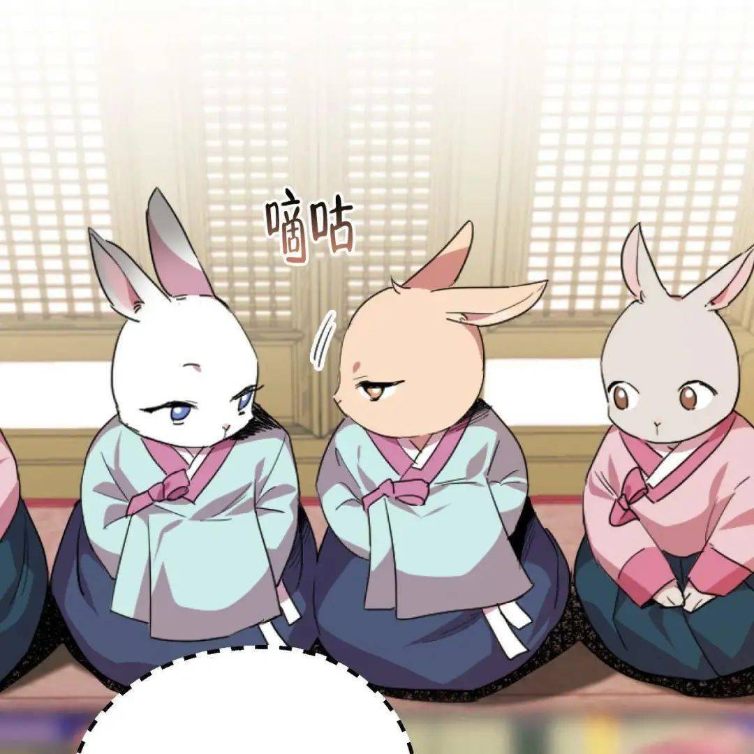 兔子受人h又羞又野我们生个可爱小兔子吧