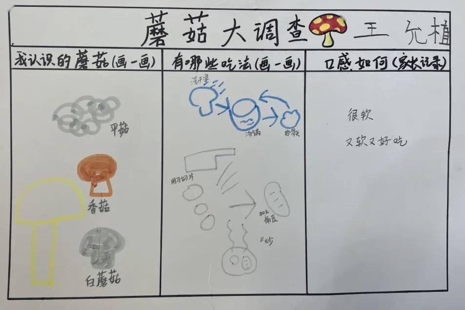 通巨幼儿园文景苑分园我们的菇事很精彩