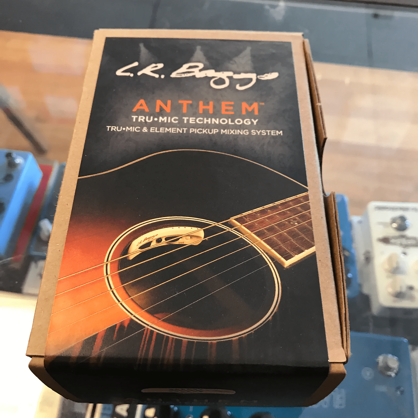 聊聊关于恩雅t10吉他配备的lrbaggsanthem拾音器