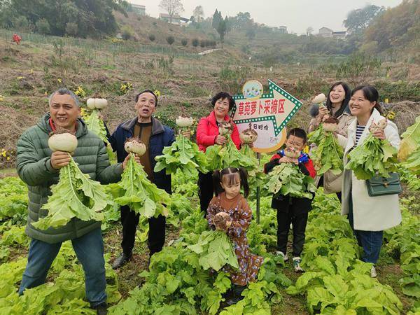 在消費季現場,除了趕水草蔸蘿蔔和蘿蔔乾,村民們還把豆腐乳,竹筍,花生