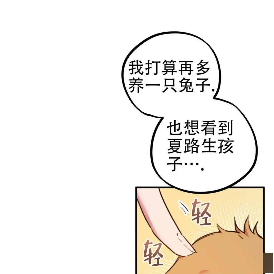 兔子受人h又羞又野我们生个可爱小兔子吧