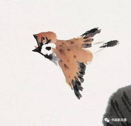 萧朗画麻雀萌呆