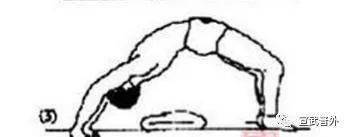 左腿|小编喊你“腰部肌肉锻炼啦！”