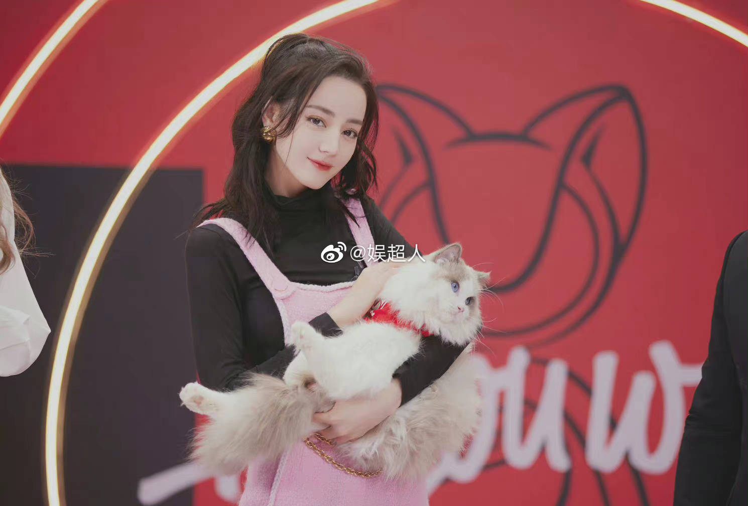 来看看迪丽热巴今晚的直播图抱着猫的热巴也太可爱了吧