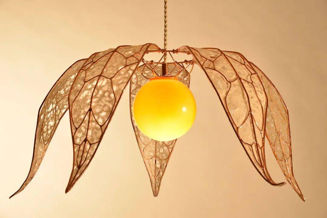 仿生家具让生活更贴近自然