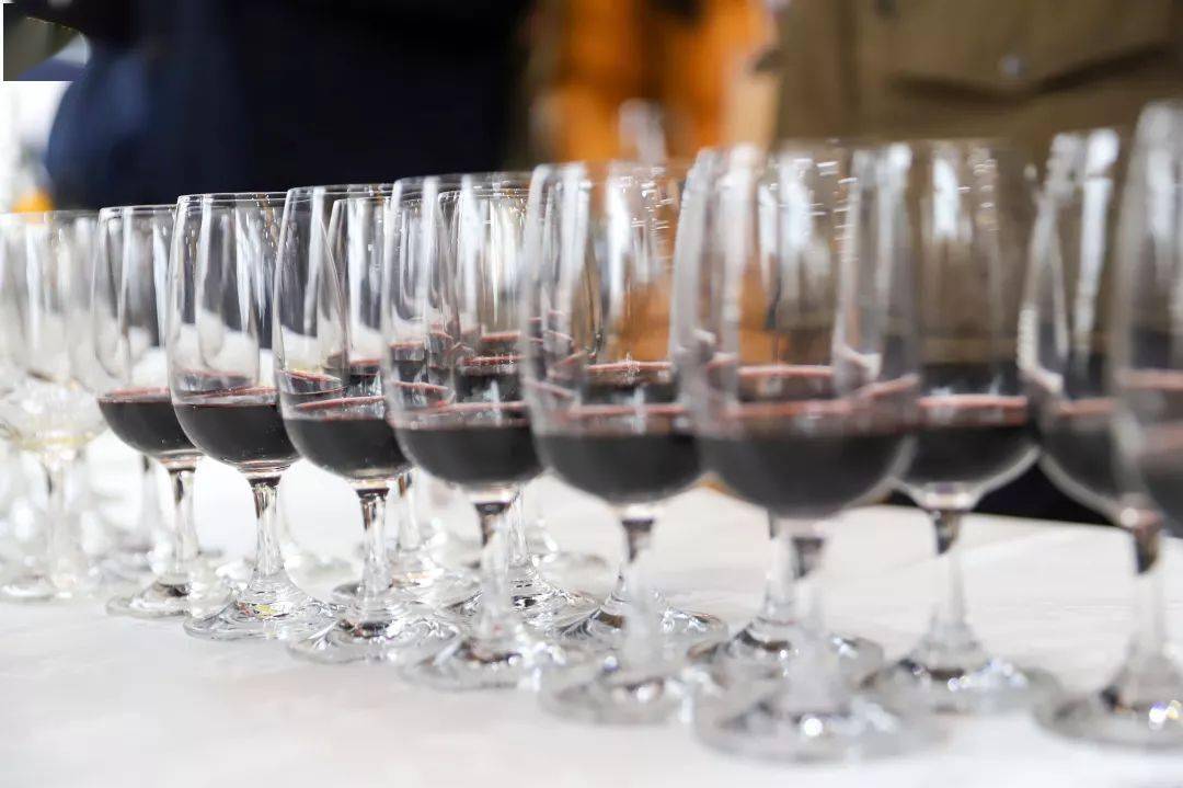 葡萄|“种”出来的葡萄酒