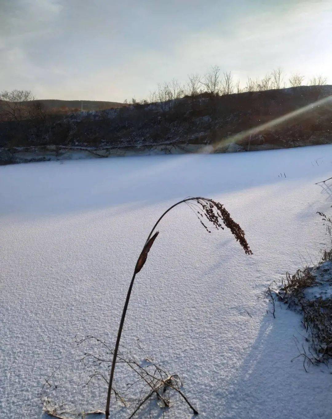 第一场雪_大雪_银条儿_雪球