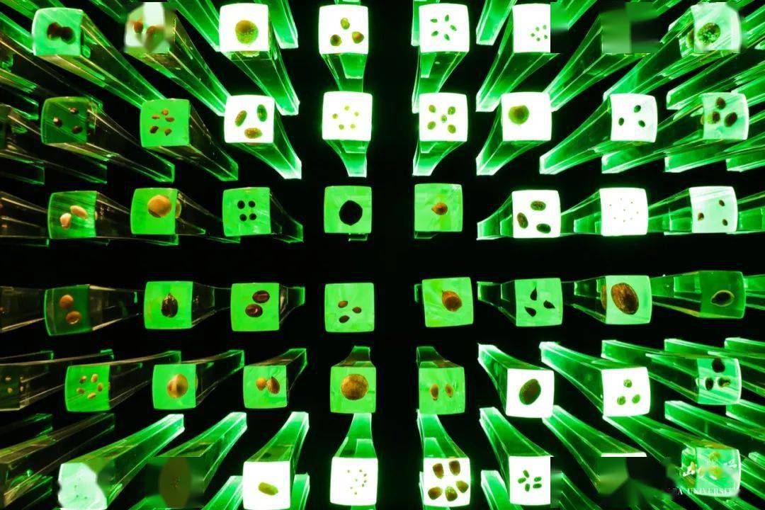 李德铢 | 种子库如何捍卫地球生态文明?