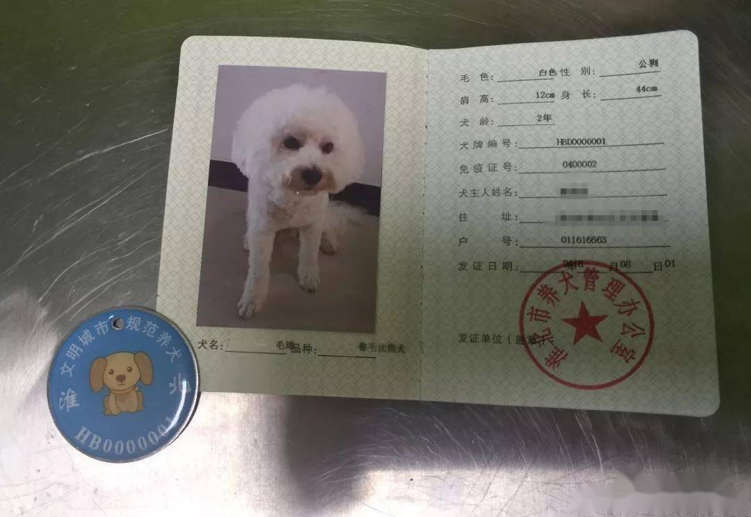 2021犬证照片实图图片