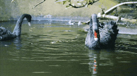 6个中国最美院子源自屋主手创有钱你也想这样生活吗