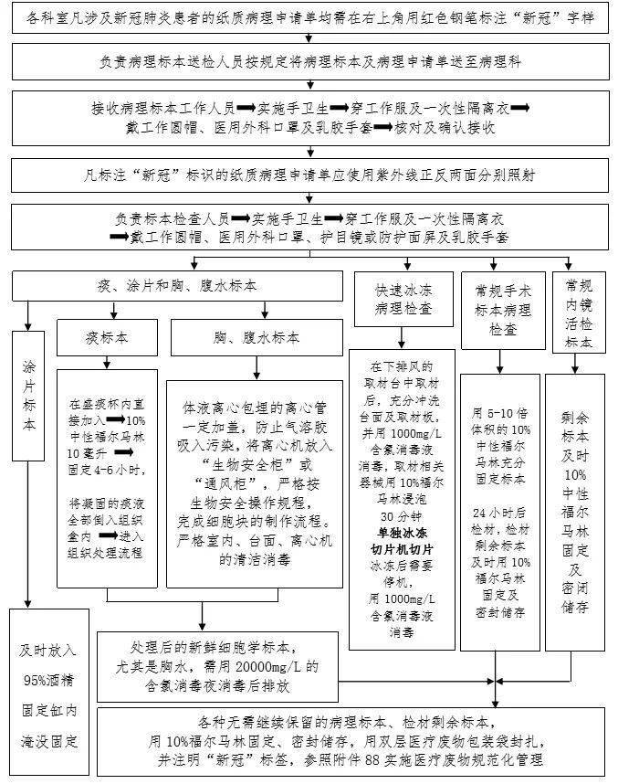 防控|新冠防控史上最全流程图汇总，值得收藏！