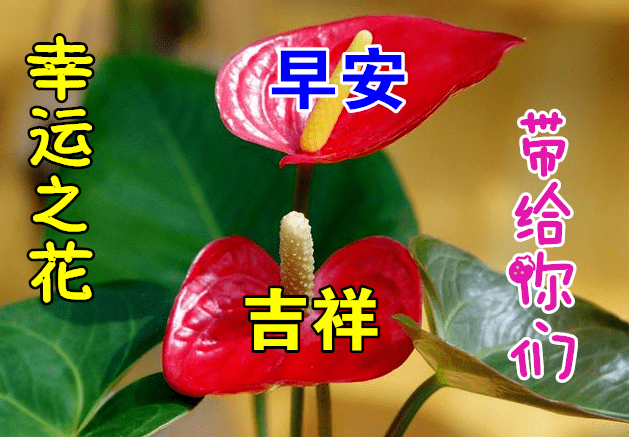 b5880a568cb347f49cc431852f90d8e9.png