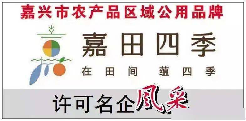 “嘉田四季”系列专访 