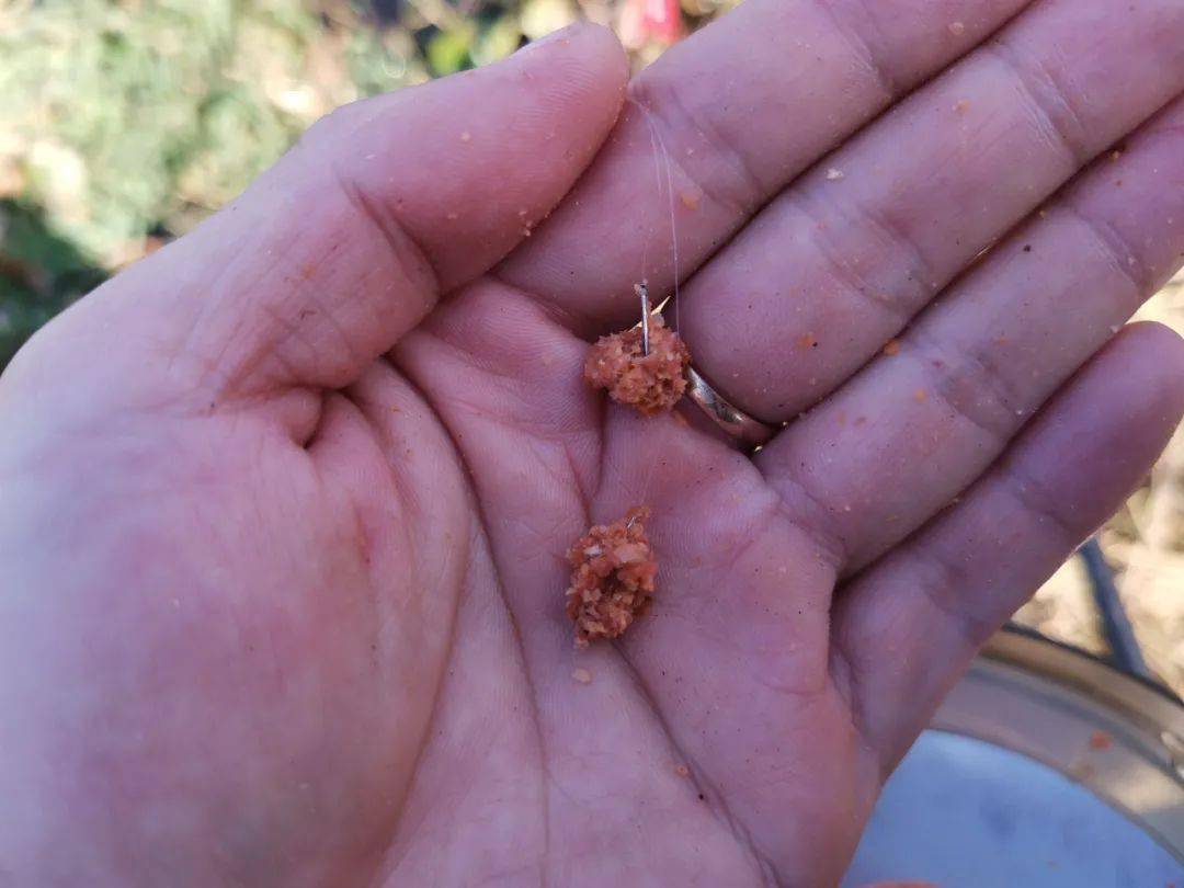 钢蛋2号火爆全网遭抢购钢蛋没想到我也有今天