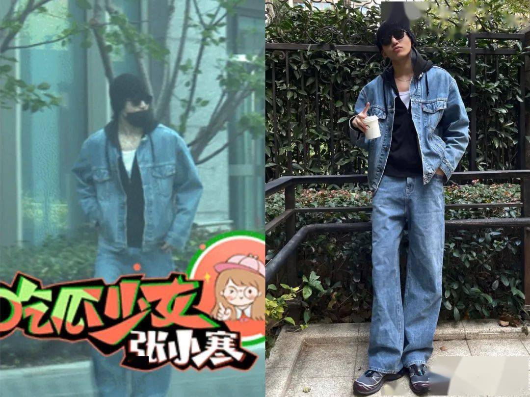 张雨绮|半年两个小奶狗,张雨绮真的是恋爱脑?