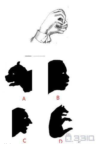 图形_投影_手势