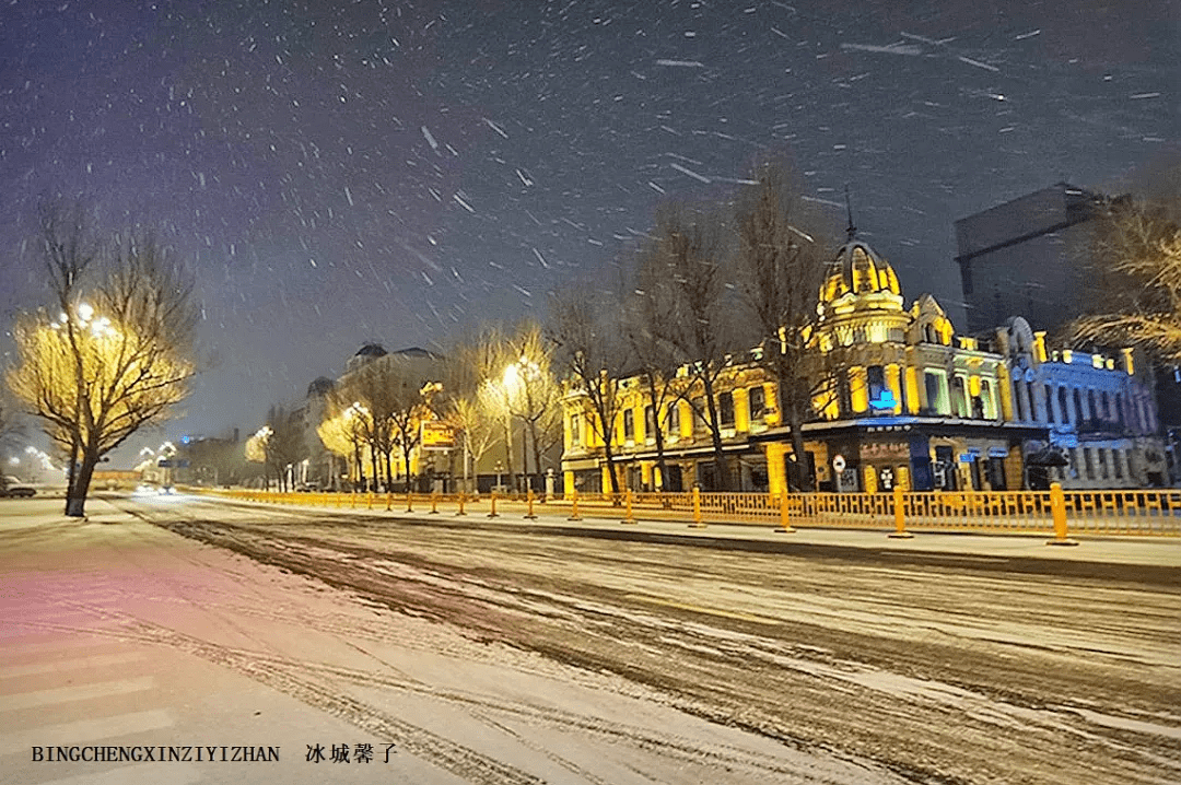 昨晚的鹅毛大雪有多美风雪中的哈尔滨红军街和中山路