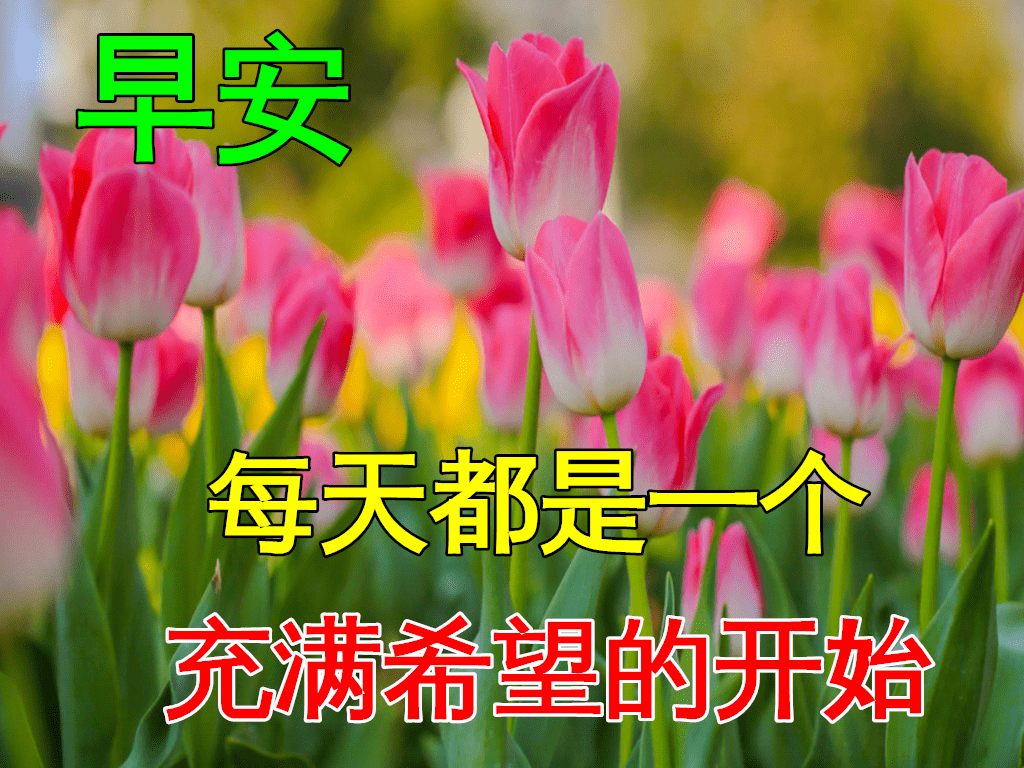 12月12日最新早上好动态表情图片大全早上好祝福语句子