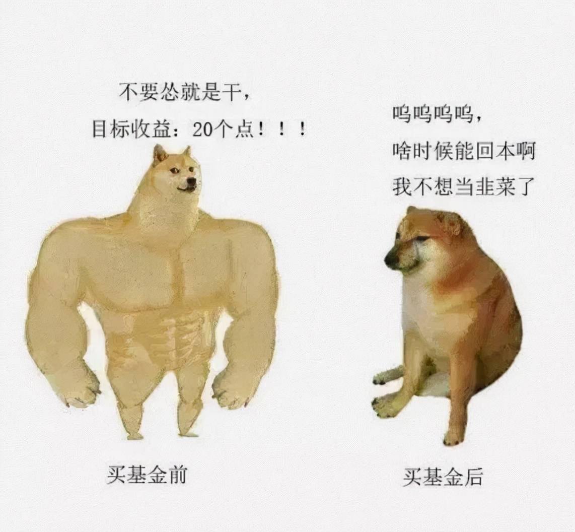 f5e4ed6c1e324c468fc60c8dddf5a9fa.jpeg