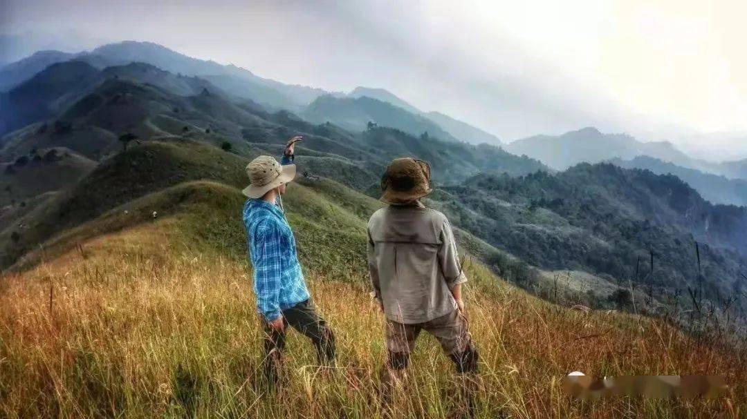 12月18日(周六)徒步穿越龙胜高石山,眺望延绵不绝高山草甸,三星强度