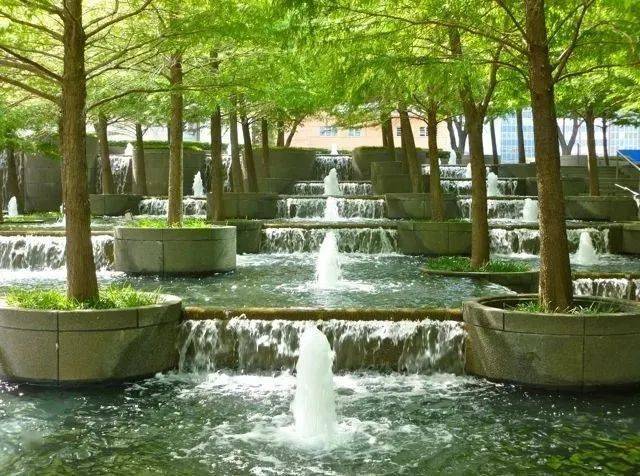 水中树池的经典作品值得一看