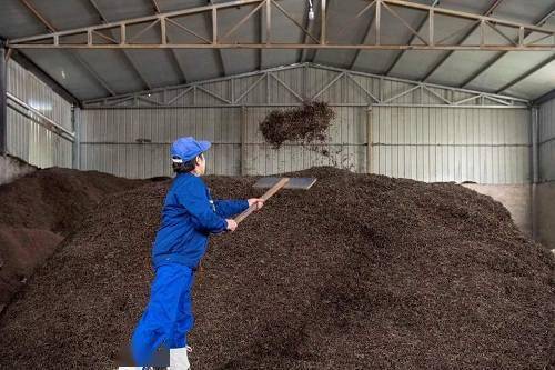 明玉兰|雅安蔡龙茶业——匠心制茶一生只做一杯茶