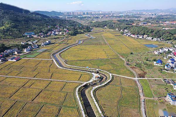 萍乡报道江西是个好地方萍乡赤山镇农旅融合助力乡村振兴