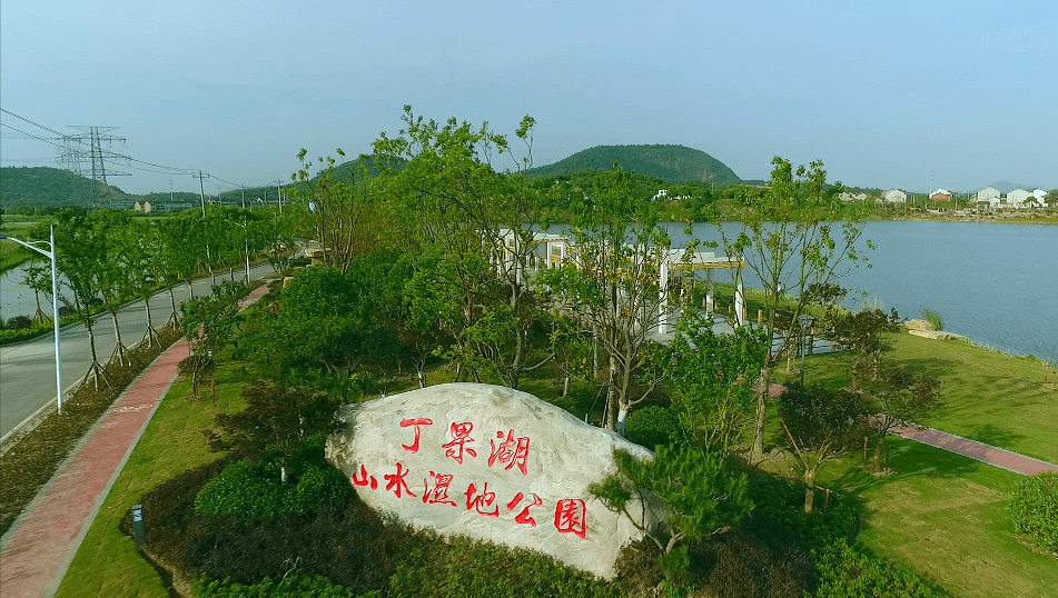 江阴南闸湿地公园图片