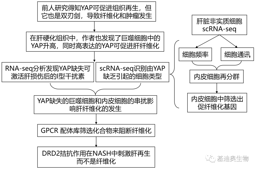 研究思路//非酒精性脂肪性肝炎是一种与代谢综合症相似的疾病,病情