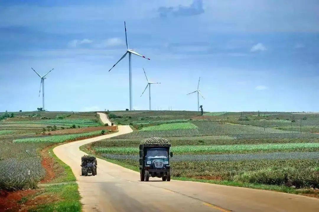 连接菠萝的海湛江这条路真香