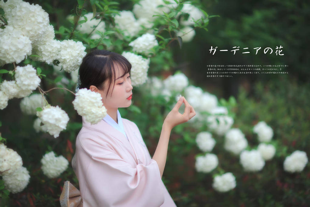 03.27 绣球花和服_和服