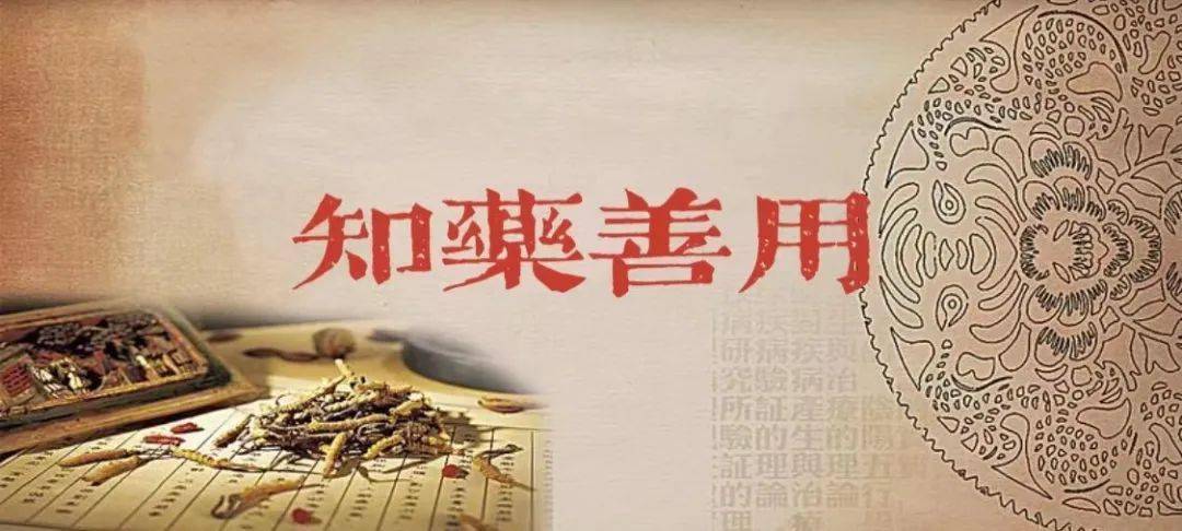 营养|【知药善用（第9期）】冬至进补，您需要注意啥？