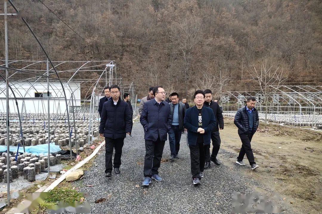 省农业农村厅张拴林一行到岸门口镇考核实施乡村振兴战略和巩固拓展