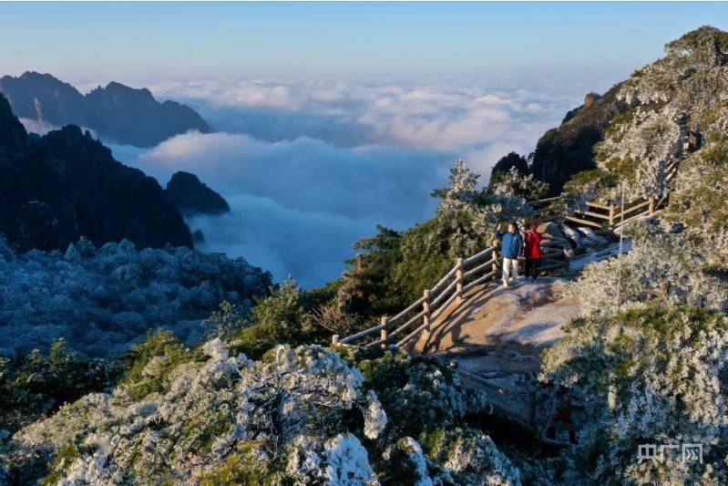 怪石|雪后黄山 宛如仙境