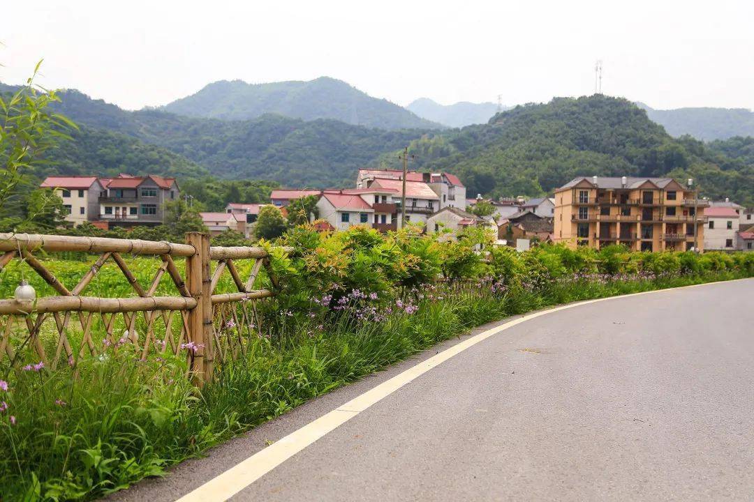 在"四好农村路"上看见乡村走向共同富裕|兰溪市马涧镇:"四好农村路"串