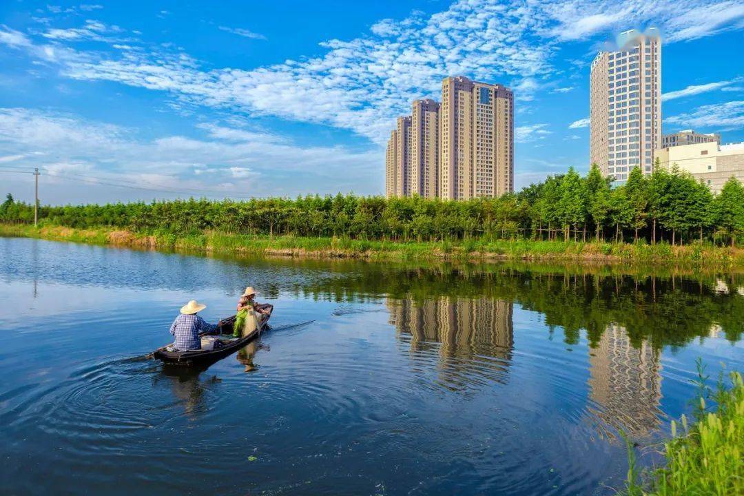 蓝天碧水净土清废行动平湖治气成效四个第一