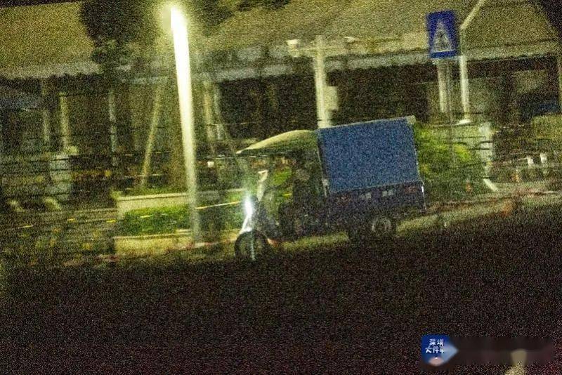 张依依被打一路从世界扶摇直上正道飞升踏破虚空屹立大千世界巅峰的故