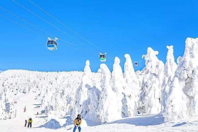 春节要去藏王滑雪度假 一份超强日本雪道攻略送给你 索道 路线 大森