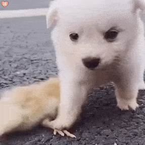 287_287gif 动态图 动图