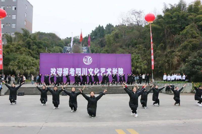 四川文化藝術學院2022年美術類招生專業分為校考專業和統考專業