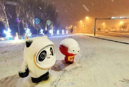 身姿|你最喜爱哪项冬奥运动