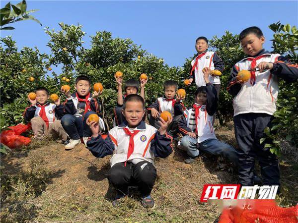 冷水滩区|永州市冷水滩区各中小学开展丰富多样的实践活动