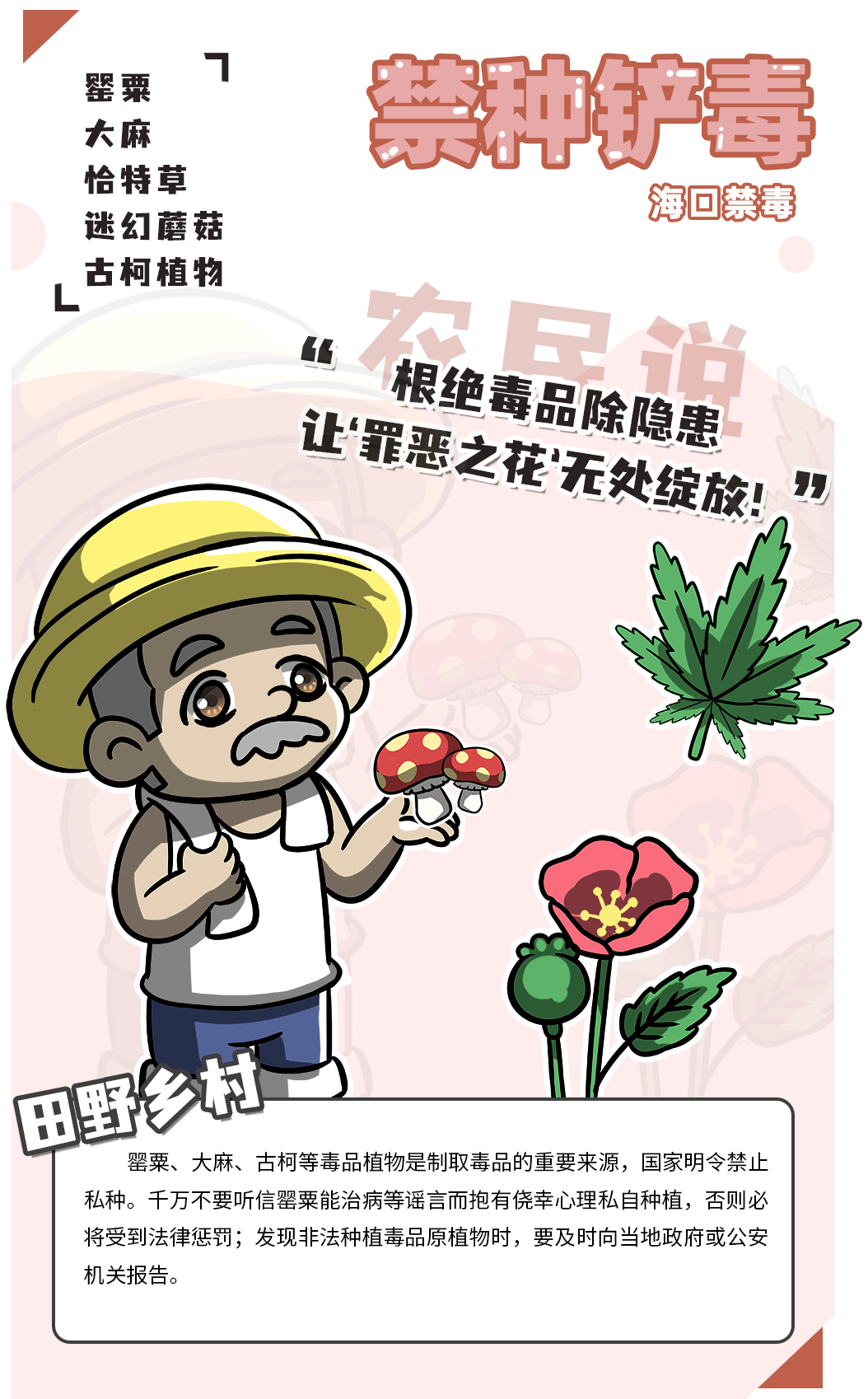 种植毒原植物的情况毒品一日不除禁毒一刻不止面对毒品广大市民要有