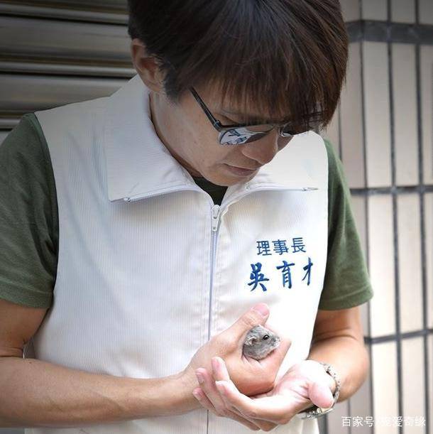 冷血女子因不满被甩,拿仓鼠出气,眼球险些被捏爆,引发网友抨击_影片